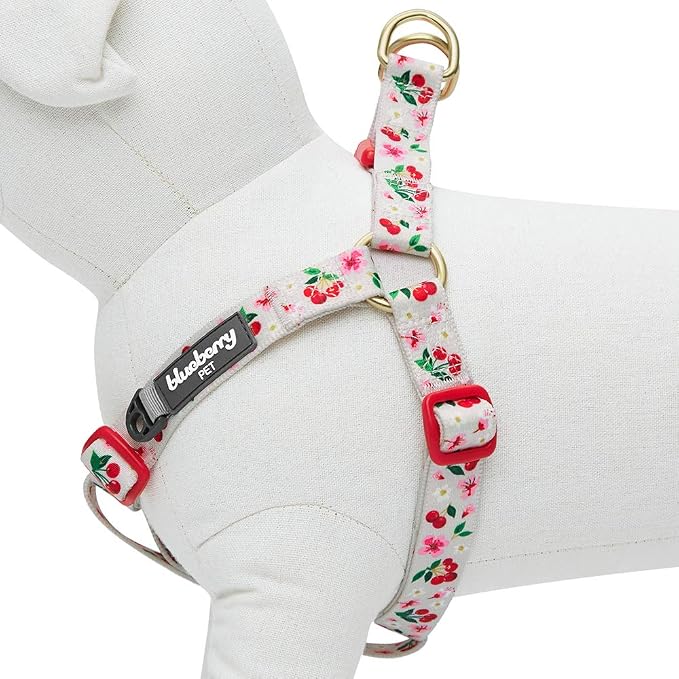 Blueberry Pet 9 Patterns Step-in Cherry Garden Grey Dog Harness, Chest Girth 20" - 26", Medium, Adjustable Harnesses for Dogs