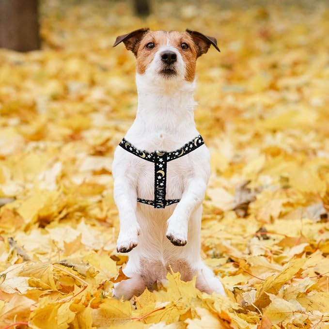 PUPTECK No Pull Dog Harness Small Sized Step-in Adjustable Puppy Vest | Soft Webbing Basic Halter with ID Tag for Outdoor Walking
