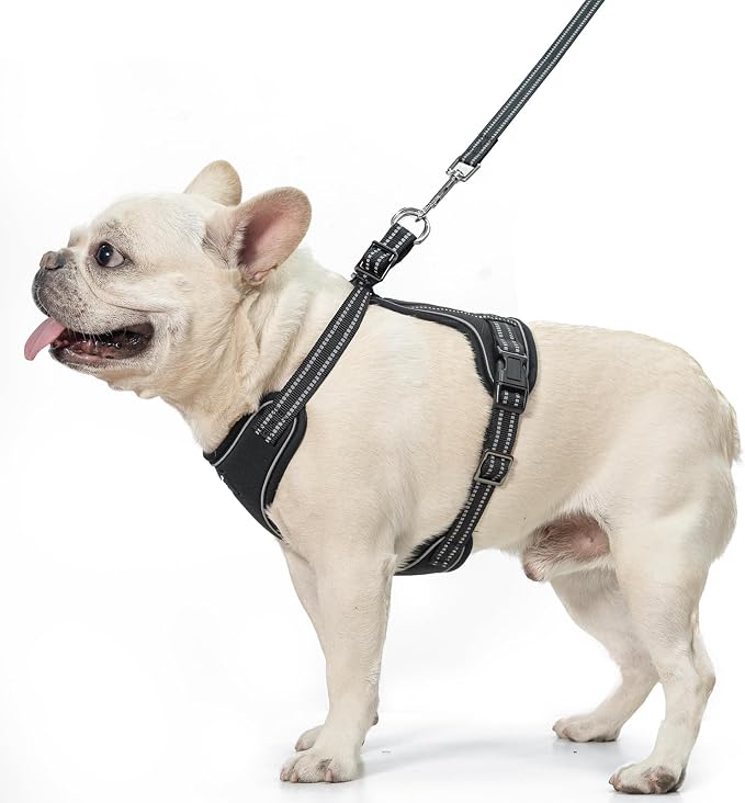 PUPTECK Dog Harness and Leash Set Small Sized, Adjustable Reflective Escape Proof Puppy Vest, No Pull Walking Harness Easy Control