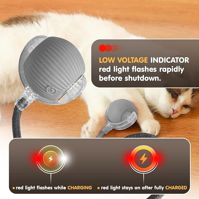 Rocfish Durable Interactive Cat Toys for Indoor Cats (Grey, 01) | Smart Automatic Cat Chase Ball Toy, Upgraded Speedy Tail Kitten Toy for Bored Indoor Adult Pets