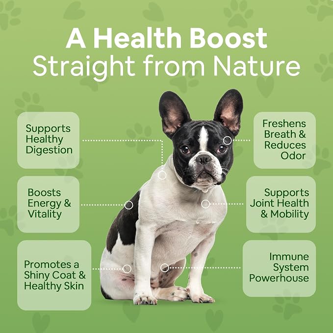 Superfood Supplement for Dogs (12 oz) Organic Human-Grade Ingredients, Vitamins, Minerals, Antioxidants and Fibre Rich for Optimal Digestion, Shiny Coat and Better Health (3 Pack)