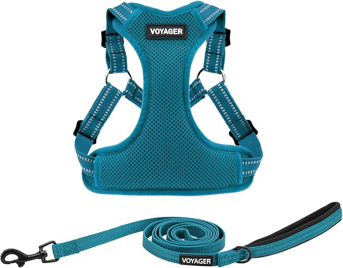 Best Pet Supplies Voyager Adjustable Step-in Flex Breathable Mesh Dog Harness for Small Medium Large Dogs Leash Set (Turquoise), L
