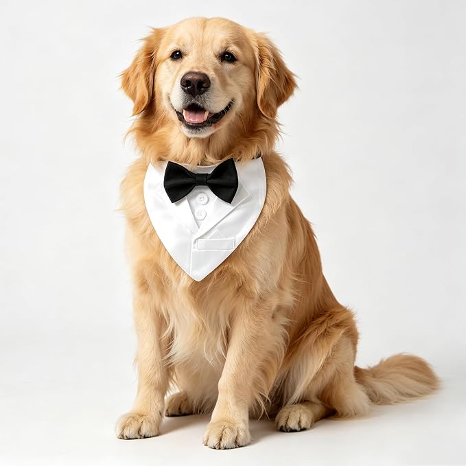 Dog Tuxedo Suit Wedding Collar, Medium, White