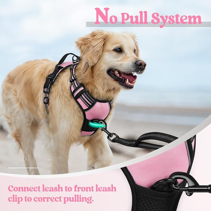 rabbitgoo Dog Harness, No Pull for Small Dogs with 2 Leash Clips, Pet Vest | No Choke with Handle, Adjustable Soft Padded, Reflective, Easy Control for Walking, Pink, Small