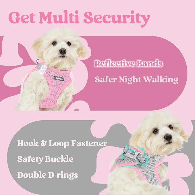 rabbitgoo Step-in Small Dog Harness, Puppy Vest for Small Sized Pet | Easy Put on and off, Lightweight, Soft, Breathable Quick-Dry Air Mesh for Comfortable Secure Walking, Light Pink & Gray S