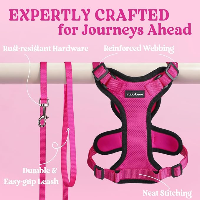 rabbitgoo Cat Harness and Leash Set, Escape Proof Vest, Rose Red | Soft Breathable Mesh, Easy Adjustable Fit, Snap Buckles, Sturdy Clip, Reflective Strips, for Kittens & Small Cats Walks, Xxs