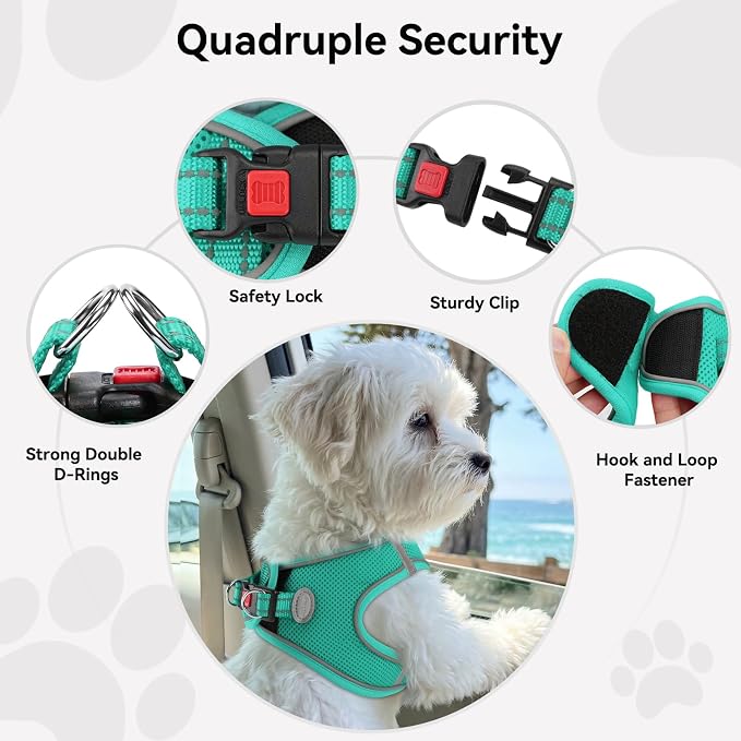 Joytale Step-in Dog Harness, Soft Breathable Mesh, Teal XXS | Adjustable Fit for Small Dogs, Easy Step-in with Secure Fastener, Even Chest Pressure, Reflective For Night Safety, Washable