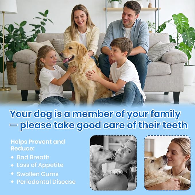 Dog Plaque Remover for Teeth,Pet Ultrasonic Tooth Cleaner with LED Light,Cleaning Kit for Tartar and Stains,5 Adjustable Modes,Pet Teeth Cleaning kit,Suitable for Dogs and Cats (Green) | dog teeth cleaning,plaque remover for teeth,dog tartar and plaque...