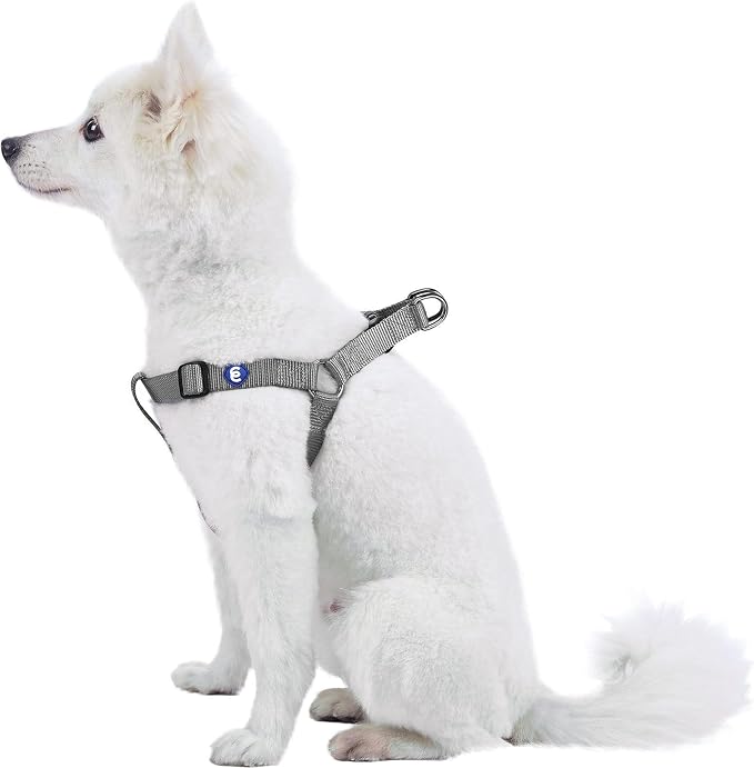Blueberry Pet Essentials Step-in Dog Harness, Large Size | Adjustable Flint Gray Vest | Classic Solid Nylon for Boy & Girl Dogs, Chest Girth 26"-39"