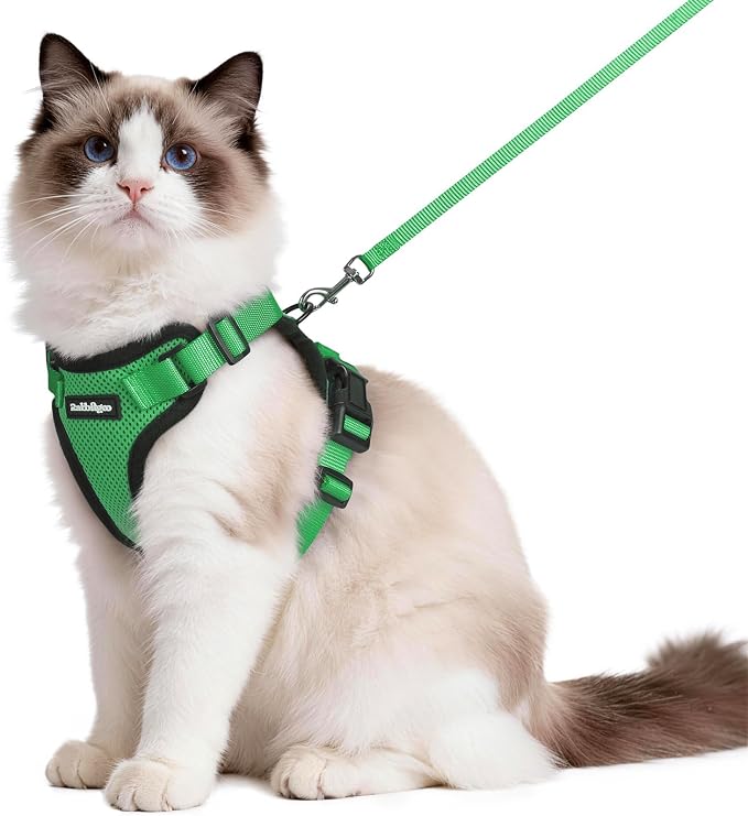 rabbitgoo Cat Harness and Leash Set, Escape Proof Vest, Grass Green | Soft Breathable Mesh, Easy Adjustable Fit, Snap Buckles, Sturdy Clip, Reflective Strips, for Medium to Large Cats Walks, M