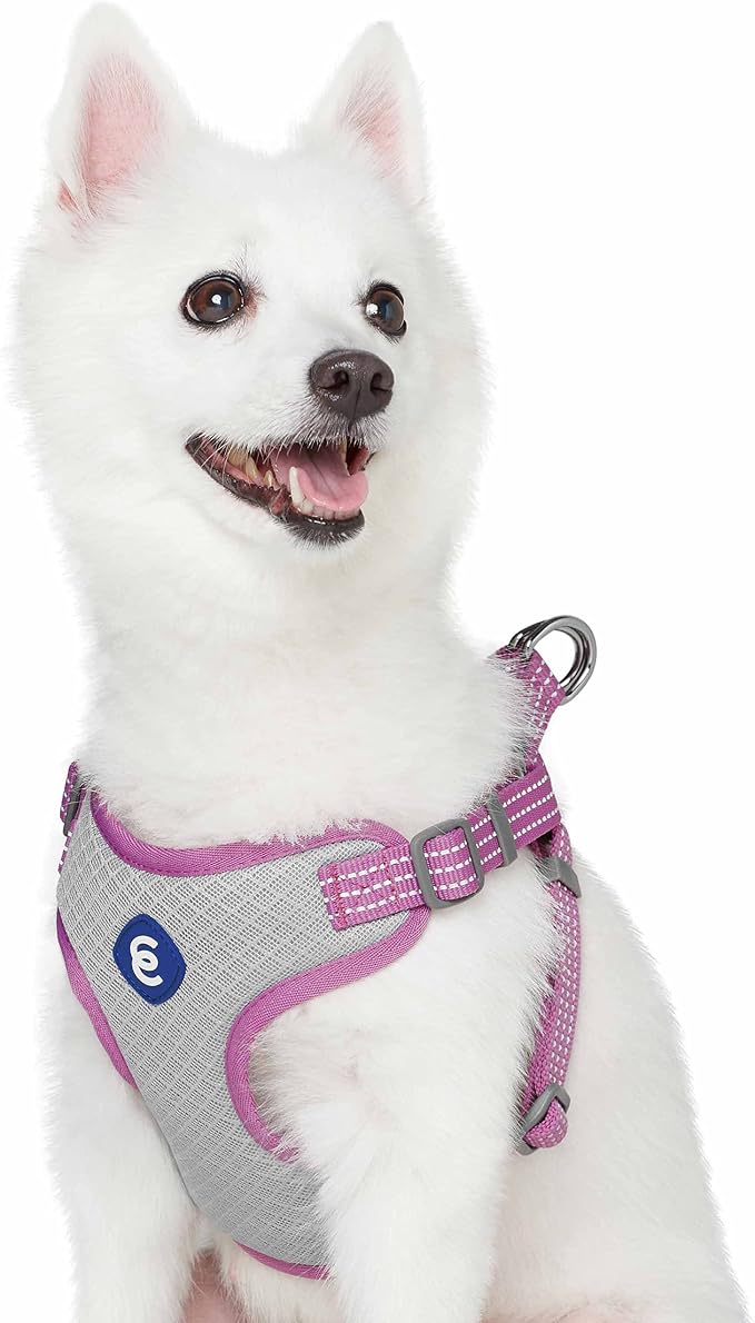Blueberry Pet Essentials Back to Basics Reflective Dog Harness Vest, Mauve Orchid, Small, Adjustable Harnesses for Dogs
