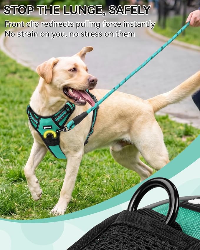 Joytale No Pull Dog Harness & Seat Belt, Easy On 3-Buckle, M, Teal | Front Clip Reduces Pulling, Escape-Resistant Design, Adjustable Fit, Soft Padding for Comfort, Secure Tether for Safer Travel
