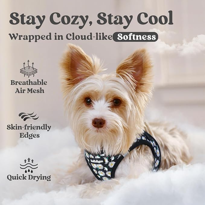 rabbitgoo Step-in Small Dog Harness, Puppy Vest for Small Sized Pet | Easy Put on and off, Lightweight, Soft, Breathable Quick-Dry Air Mesh for Comfortable Secure Walking, Midnight Daisy XXS
