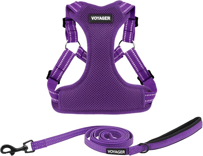 Best Pet Supplies Voyager Adjustable Step-in Flex Breathable Mesh Dog Harness for Small Medium Large Dogs Leash Set (Purple), S