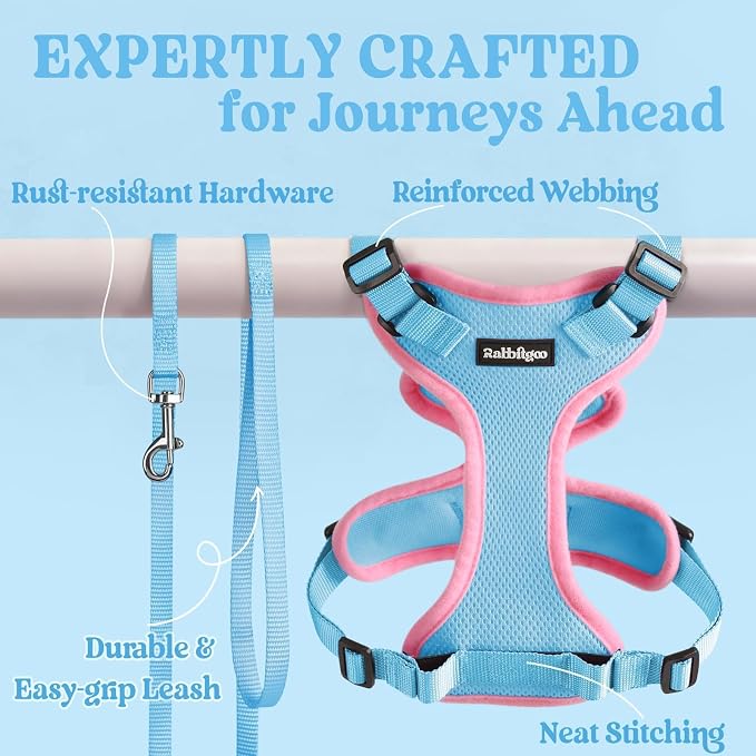 rabbitgoo Cat Harness and Leash Set, Escape Proof Vest, Light Blue & Pink | Soft Breathable Mesh, Easy Adjustable Fit, Snap Buckles, Sturdy Clip, Reflective Strips, for Kittens & Small Cats Walks, Xxs