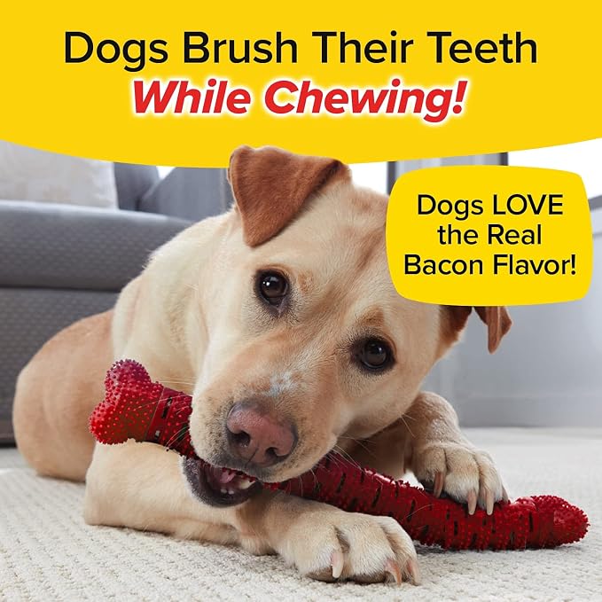 BulbHead Bonanza Bone Toothbrush, Infused with Real Bacon Flavor – Dogs Brush Chewing, Plaque and Tartar Remover for Teeth, Works 3 Ways to Clean While They Play, 8 in. x 2 in, Red