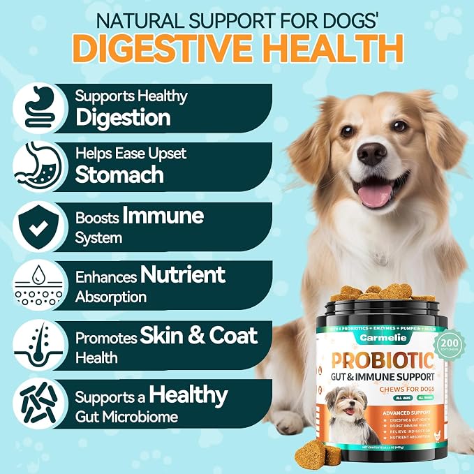 Dog Allergy Relief + Carmelie Probiotics for Dogs – 400 Soft Chews, Itchy Skin & Paw Licking Relief, Digestive Health, Immune Support, Seasonal Allergies, Chicken Flavor
