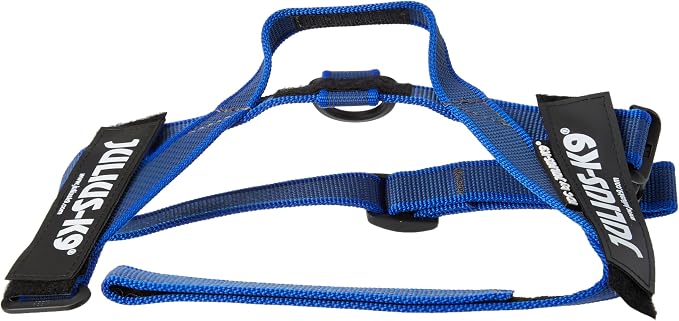 IDC Color & Gray Belt Harness, Size: S/Mini, Blue-Gray
