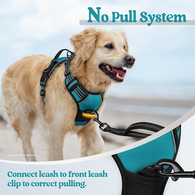 rabbitgoo Dog Harness, No Pull for Small Dogs with 2 Leash Clips, Pet Vest | No Choke with Handle, Adjustable Soft Padded, Reflective, Easy Control for Walking, Teal, Small