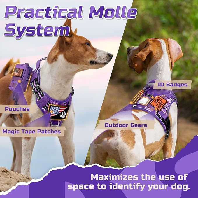 rabbitgoo Tactical Dog Harness for Medium, No Pull Military Service Vest | Molle & Handle, Heavy Duty, Adjustable, Reflective Straps, Easy Control for Training Walking, Purple Camo, Medium