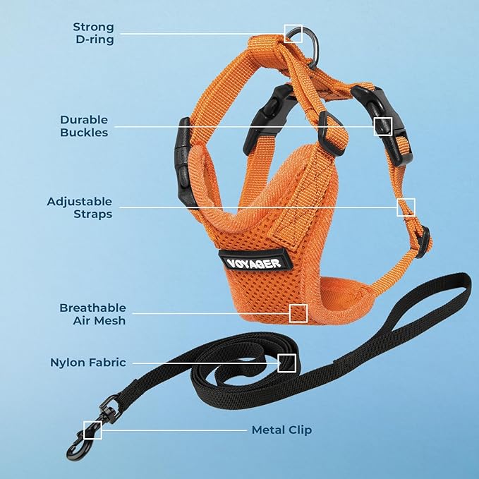 Voyager Escape-Proof Step-in Lock Cat Harness & 5ft Neoprene-Handle Leash Set All-Weather Mesh with Reflective Stitching for Small to Large Cats by Best Pet Supplies, Orange, XXXS