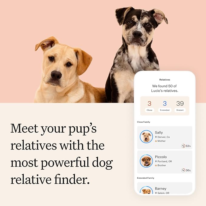 Wisdom Panel Premium DNA Test Kit, 1-Pack