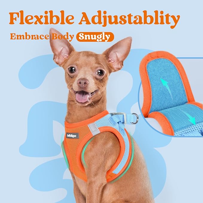 rabbitgoo Step-in Small Dog Harness, Puppy Vest for Medium Sized Pet | Easy Put on and off, Lightweight, Soft, Breathable Quick-Dry Air Mesh for Comfortable Secure Walking, Blue & Orange XXL