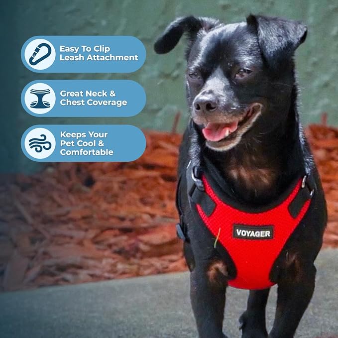 Best Pet Supplies Voyager Step-in Lock Pet Harness w Reflective Pet Leash Combo Set with Neoprene Handle 5ft - Supports Small, Medium and Large Breed Puppies/Cats - Red/Black Trim Set, S