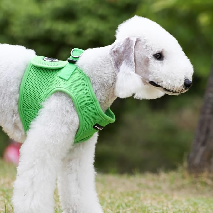 PUPPIA International Harness Soft B Vest, XX-Large, Green