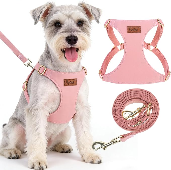 PUPTECK Dog Harness and Leash Set Small Sized, Lightweight Step-in Puppy Harness, Escape Proof No Pull Cute Pet Vest Harnesses, Pink M