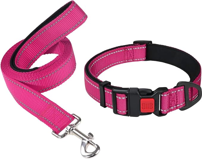 Taglory 10"-16" Dog Collar and 5 FT Dog Leash Set, Highly Reflective Threads Dog Leash, Adjustable Reflective Dog Collar with Safety Locking Buckle for Small Dogs