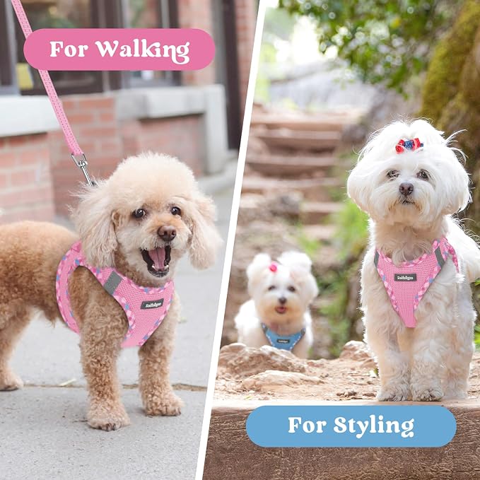 rabbitgoo Step-in Small Dog Harness, Puppy Vest for Small Sized Pet | Easy Put on and off, Lightweight, Soft, Breathable Quick-Dry Air Mesh for Comfortable Secure Walking, Pink & Plaid Trim M