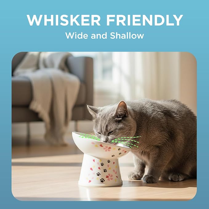 Necoichi Raised Cat Food Bowl – Ceramic Elevated 15° Tilted Cat Bowl for Whisker & Neck Fatigue, Dishwasher Microwave Safe – Non-Slip & Anti Vomiting Ergonomic Design (Sakura, Regular Tilted)