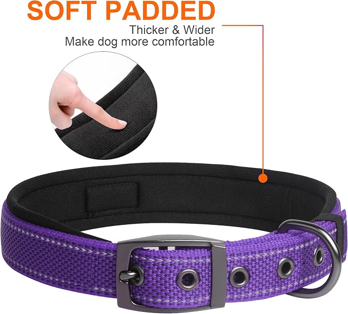 Fida Heavy Duty Dog Collar for Large Dogs with Metal Belt Buckle, Purple | Soft Neoprene Padded for Extra Comfort, Thicker Nylon Webbing, Adjustable Fit, Reflective Stitching for Night Safety
