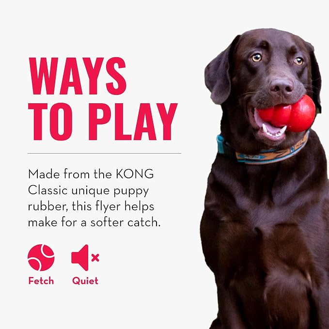 KONG Puppy Flyer, Soft Rubber Flying Disc, for Small Puppies, Random Color | Soft Gentle Rubber Flying Disc Made for Growing Puppies, Great for Easy Fetch & Active Outdoor Playtime