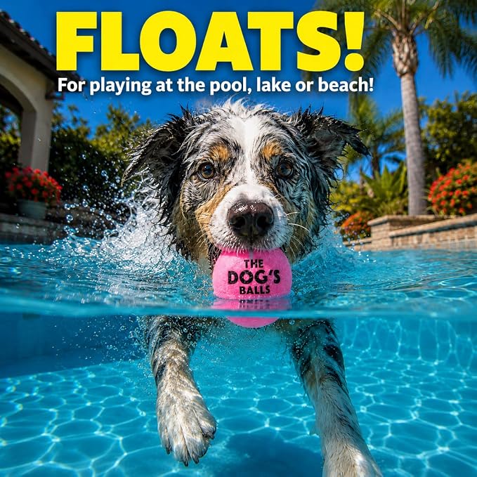 The Dog's Balls Dog Tennis Balls Tough 2.5" 12-Pack Pink Floats in Water | Our fetch balls combine non-abrasive felt exterior and a thicker rubber core Durable Dog Toy for Outdoor Play & Training