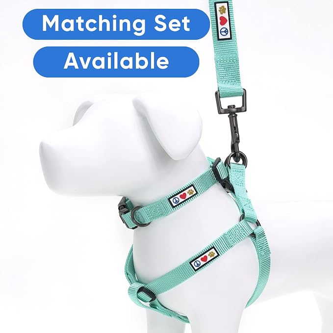 Pawtitas Solid Step-in Dog Harness – Adjustable No-Pull Vest for Puppies to Seniors, Safe & Comfortable XS Teal