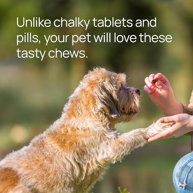 pawTree Natural Allergy Support Plus for Dogs-Ideal for Itching, Irritated Skin, Seasonal and Food Allergies, Hot Spots. Supplement Your pet Will Love. Small Chews for Pets - 60 Count (Large)