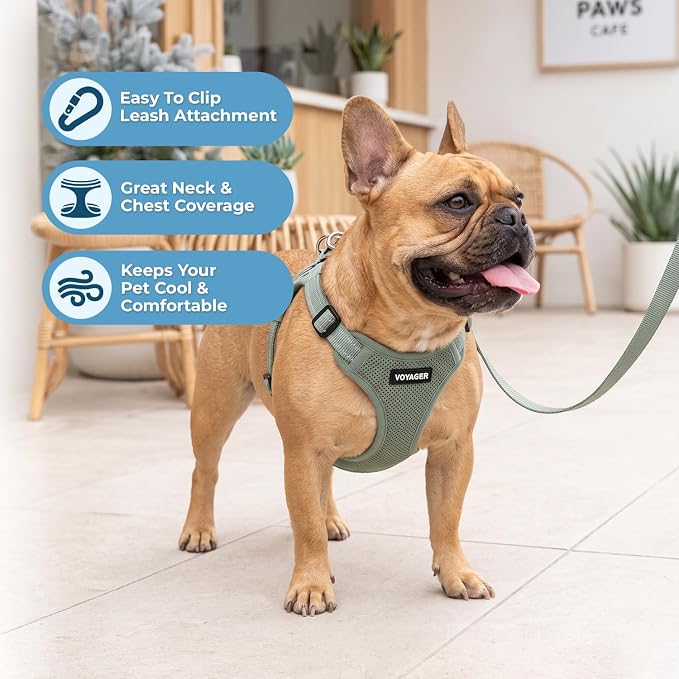 Best Pet Supplies Voyager Adjustable Step-in Flex Breathable Mesh Dog Harness for Small Medium Large Dogs Leash Set (Moss Green), L