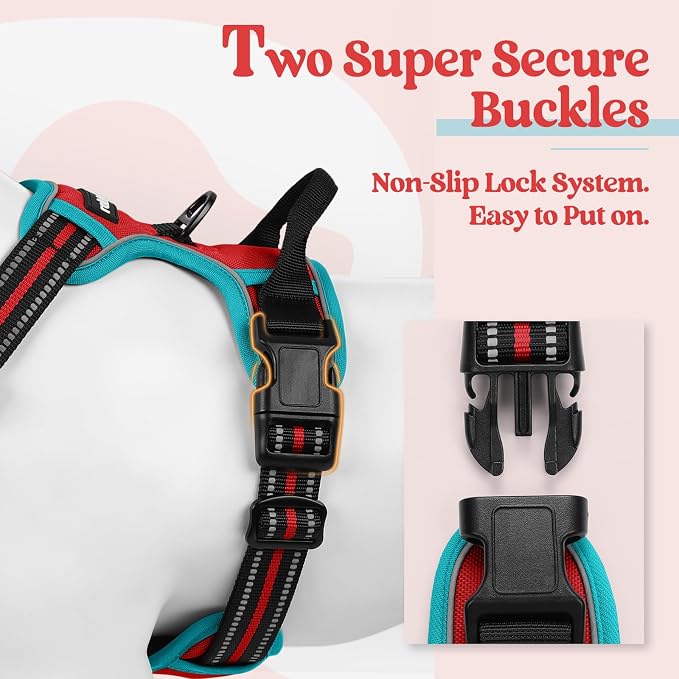 rabbitgoo Dog Harness, No Pull for Large Dogs with 2 Leash Clips, Pet Vest | No Choke with Handle, Adjustable Soft Padded, Reflective, Easy Control for Walking, Red & Teal, X-Large
