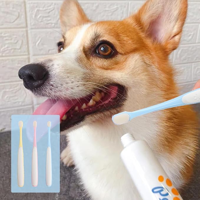 Pet Toothbrush Set for Small Dogs and Cats, 4 Pack Micro Head with Soft Bristles