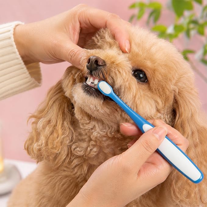 3 PCS Small Dog Toothbrush, Soft Puppy Toothbrush Deep Cleaning Mini Head Tooth Brush with Clear Case for Puppy Kitten Tiny Pets, Pink & Yellow & Blue