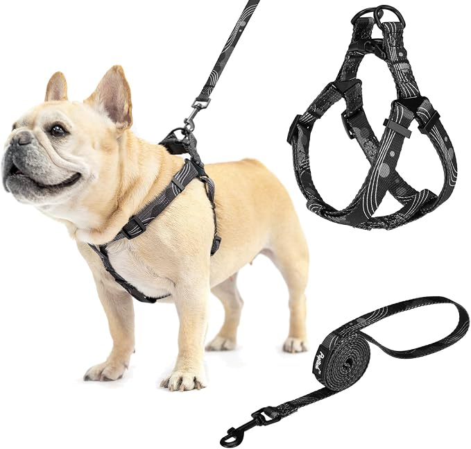 PUPTECK No Pull Dog Harness Small Sized Step-in Adjustable Puppy Vest | Soft Webbing Basic Halter with Leash for Outdoor Walking