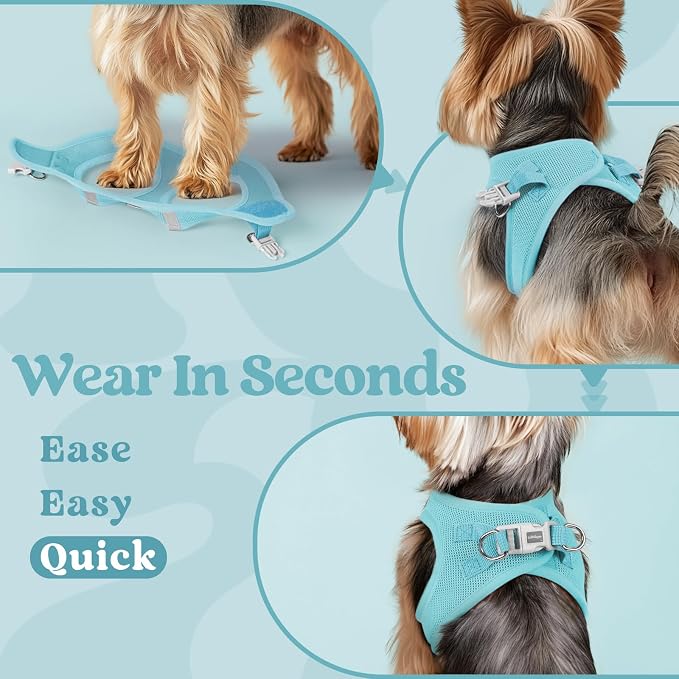 rabbitgoo Step-in Small Dog Harness, Puppy Vest for Small Medium Sized Pet | Easy Put on and off, Lightweight, Soft, Breathable Quick-Dry Air Mesh for Comfortable Secure Walking, Mint Blue L