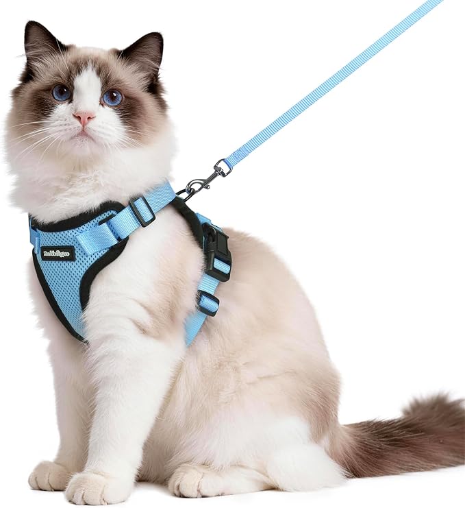rabbitgoo Cat Harness and Leash Set, Escape Proof Vest, Light Blue | Soft Breathable Mesh, Easy Adjustable Fit, Snap Buckles, Sturdy Clip, Reflective Strips, for Medium to Large Cats Walks, M