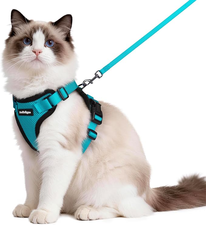 rabbitgoo Cat Harness and Leash Set, Escape Proof Vest, Teal | Soft Breathable Mesh, Easy Adjustable Fit, Snap Buckles, Sturdy Clip, Reflective Strips, for Medium to Large Cats Walks, M