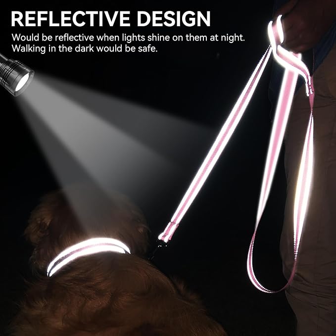 Joytale Reflective Dog Leash for Medium & Large Dogs, 5 FT x 1", Pink | Heavy Duty Nylon Webbing, Padded Handle for Comfort, Visible at Night, for Walking & Training