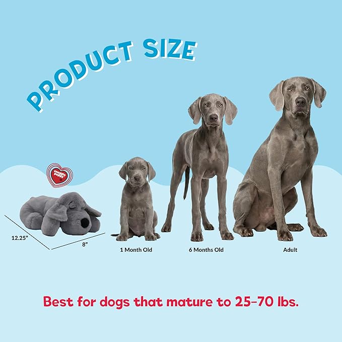 Snuggle Puppy Heartbeat Toy, Calming Comfort, Medium Breeds - Gray | Calming heartbeat toy, crate training comfort, heat pack, new puppy essentials, first nights, sleep, medium breeds 25-70 lbs