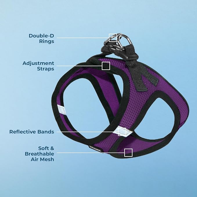 Voyager Step-in Air Dog Vest Harness - Purple/Black Trim, Large | 18- 20.5" in Chest, Reflective Bands, All Weather Breathable Air Mesh, Cats Compatible, Lightweight, Fast Drying
