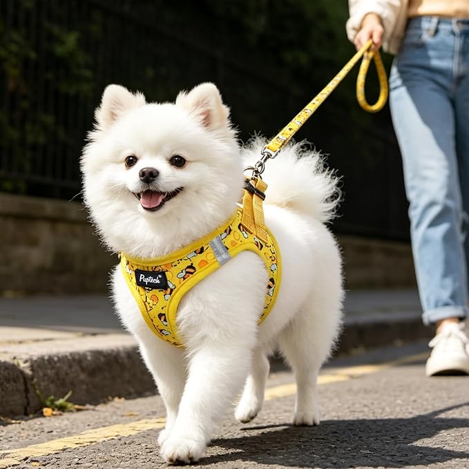 PUPTECK Dog Harness and Leash Set for Small Medium Dogs No Pull Step-in Soft Mesh Puppy Cat Vest Harnesses Reflective at Night, Yellow Bee, M